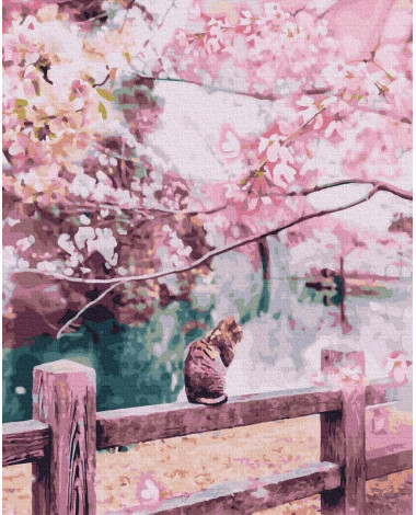 Kot w kwitnącej sakurze