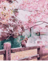 Kot w kwitnącej sakurze