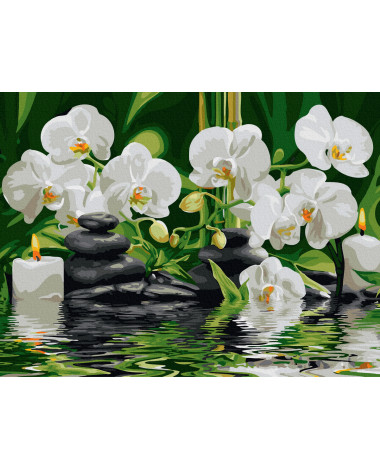 Białe kwiaty na wodzie