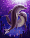 Taniec delfinów