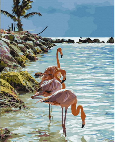 Rajskie flamingi