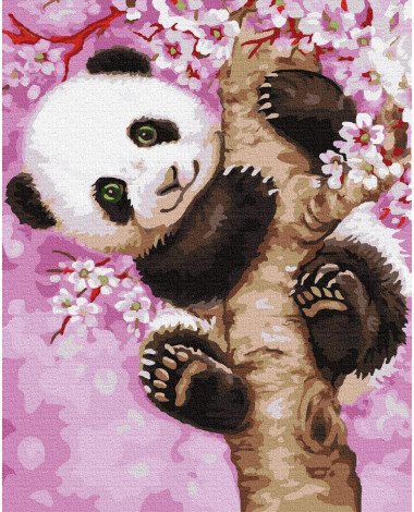 Śliczna panda
