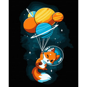 Lis w kosmosie