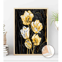 Orchidee nocy