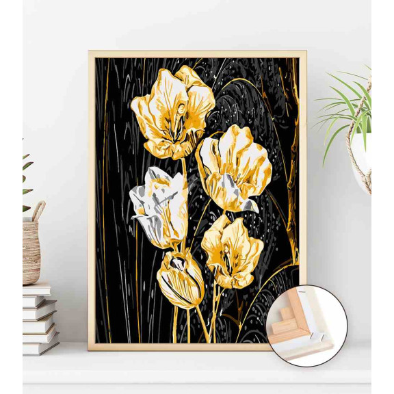 Orchidee nocy