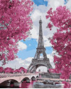 Magnolie w Paryżu