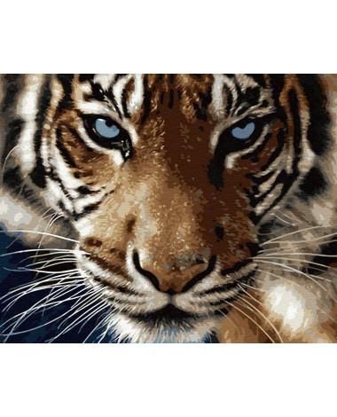 Malowanie po numerach Dziki tygrys