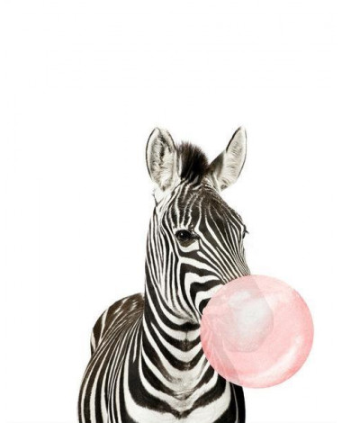 Zebra huba-booba
