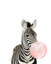 Zebra huba-booba