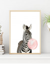 Zebra huba-booba