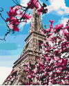Magnolia w Paryżu
