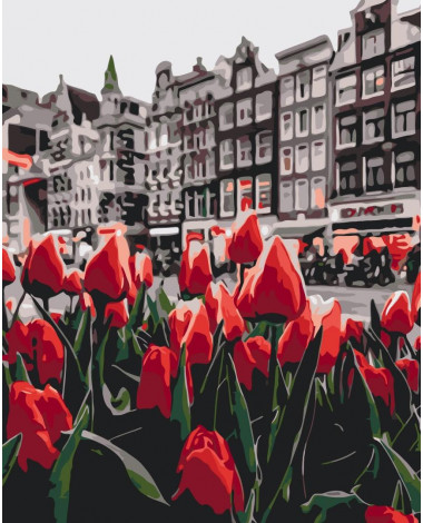 Tulipany z Amsterdamu